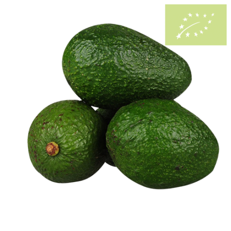 Aguacate HASS Ecológico