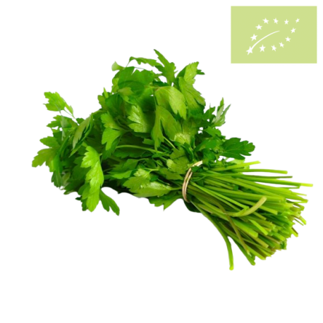 Cilantro fresco Manojo de 100g Ecológico