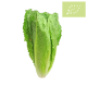 Lechuga ROMANA Ecológica.