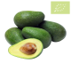 Aguacate FUERTE Ecológico