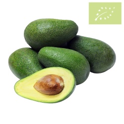 Aguacate FUERTE Ecológico