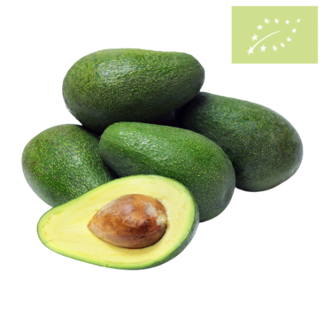 Aguacate FUERTE Ecológico