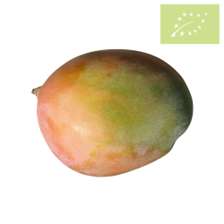 Mango KEITT Ecológico