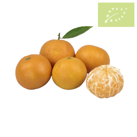 Mandarina Ecológica