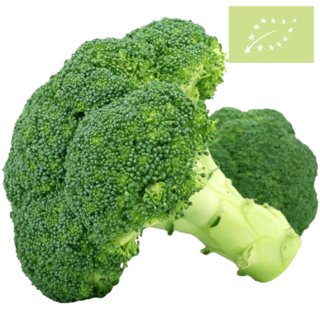 Brocoli GRANEL Ecológico