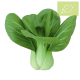 Pak choi GRANEL Ecológico