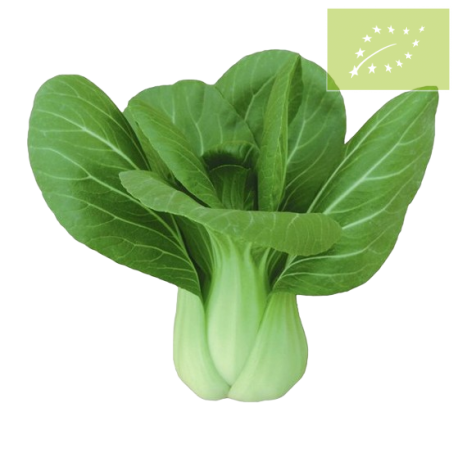 Pak choi GRANEL Ecológico