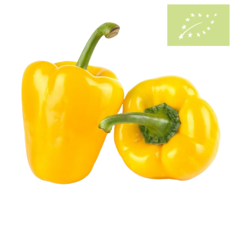 Pimiento California AMARILLO Ecológico