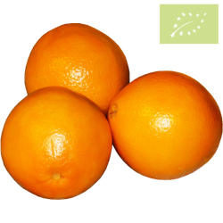 Naranja de MESA Ecológica