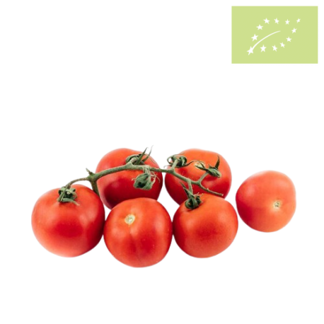 Tomate RAMA Ecológico 