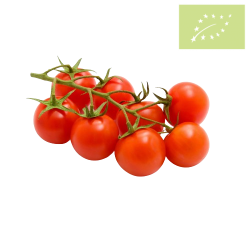 Tomate cherry RAMA Ecológico