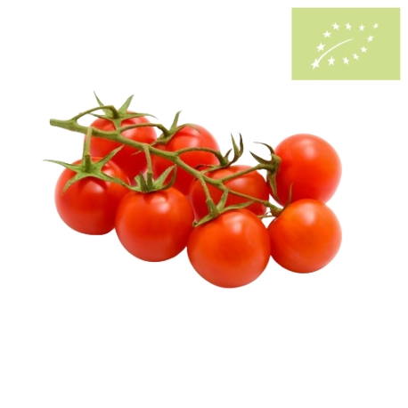 Tomate cherry RAMA Ecológico