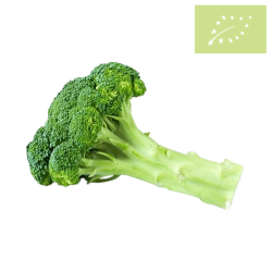 Brocoli GRANEL Ecológico