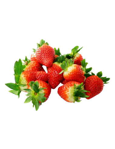Fresas Bandeja 500g Ecológicas