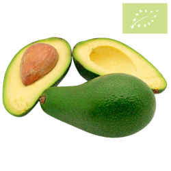 Aguacate FUERTE Ecológico