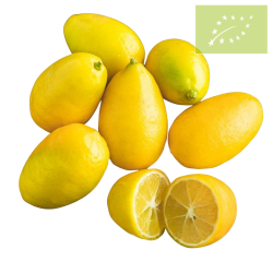 Limequat Ecológico