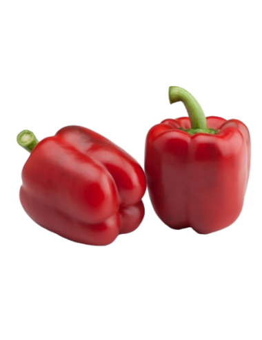 RED California Pepper Organic 