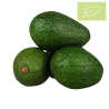 Aguacate HASS Ecológico