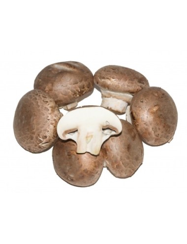 champiñon portobello