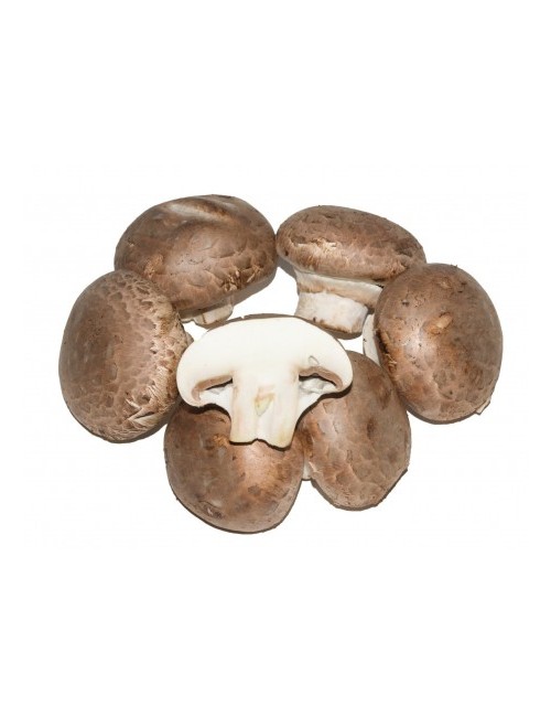 champiñon portobello
