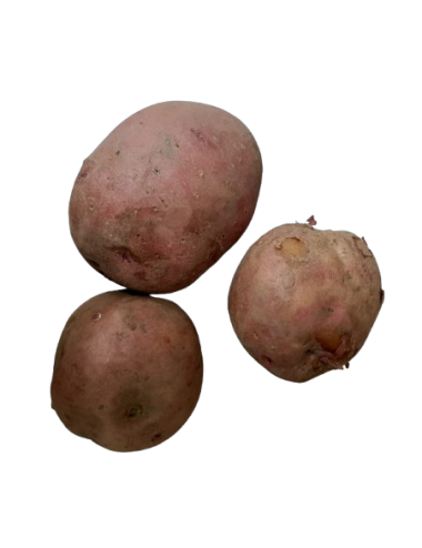 Patata ROJA Ecológica