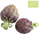 Alcachofa Ecológica