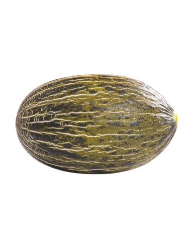 Piel de Sapo Melon Organic 