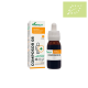 Equinacea complex COMPOSOR 50ml