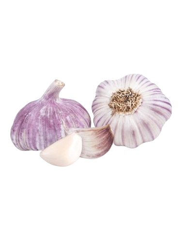 Purple garlic Ecologic 