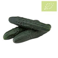 Pepino medio frances OFERTA Ecológico