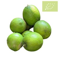 Lima Ecológica