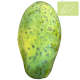 Papaya Ecológica