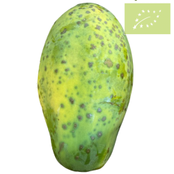 Papaya Ecológica
