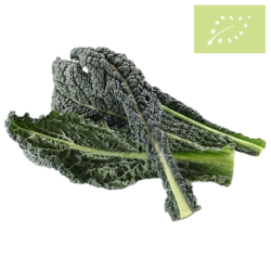 Col Kale Cavolo manojo 300g Ecológica
