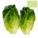 Lechuga COGOLLO PACK 2 UD. Ecológica