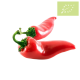 Pimiento ROJO palermo Ecológico