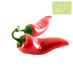 Pimiento ROJO palermo Ecológico