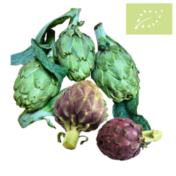 Alcachofa Ecológica