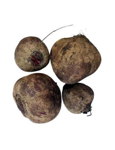 Beetroot without leaves...