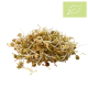 Germinado Lenteja bandeja 60gr Ecológico