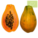 Papaya Ecológica