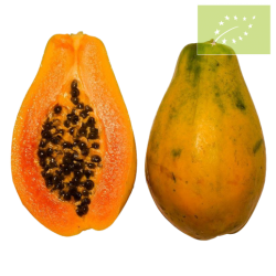 Papaya Ecológica