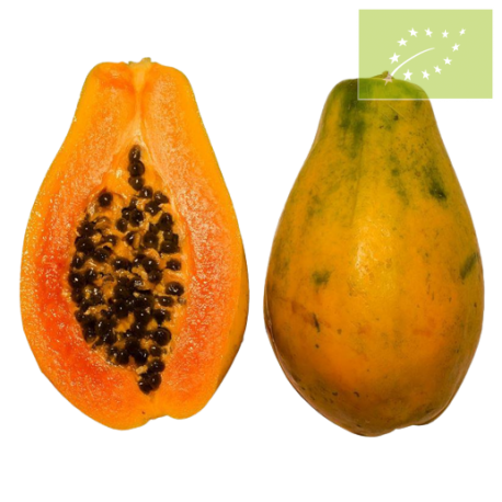 Papaya Ecológica