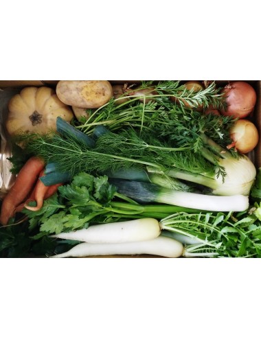 POTS ECOBASKET