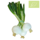 Cebolleta manojo 500 gr Ecológica 