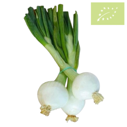 Cebolleta manojo 500 gr Ecológica 