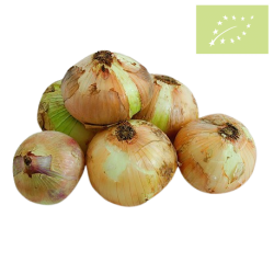 Cebolla semiseca BLANCA Ecológica