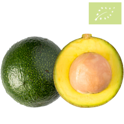 Aguacate REED Ecológico