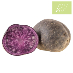 Patata VIOLETA Ecológica