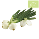 Cebolleta BLANCA GRANEL Ecológica